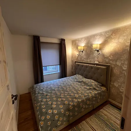Apartment Cozy Private Wifi 1br Sleeps 4 Great Location